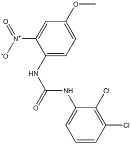 1-(2,3-dichlorophenyl)-3-(4-methoxy-2-nitrophenyl)urea Struktur