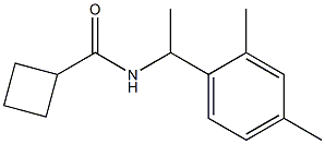 N-[1-(2,4-dimethylphenyl)ethyl]cyclobutanecarboxamide Struktur