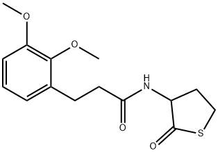 3-(2,3-dimethoxyphenyl)-N-(2-oxothiolan-3-yl)propanamide Struktur