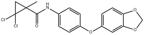  化學(xué)構(gòu)造式