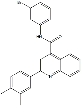 N-(3-bromophenyl)-2-(3,4-dimethylphenyl)quinoline-4-carboxamide Struktur