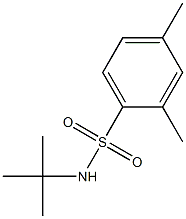 N-tert-butyl-2,4-dimethylbenzenesulfonamide Struktur