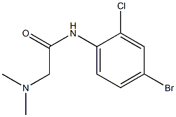 N-(4-bromo-2-chlorophenyl)-2-(dimethylamino)acetamide Struktur