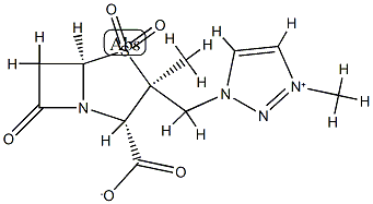 AAI-101 Structure