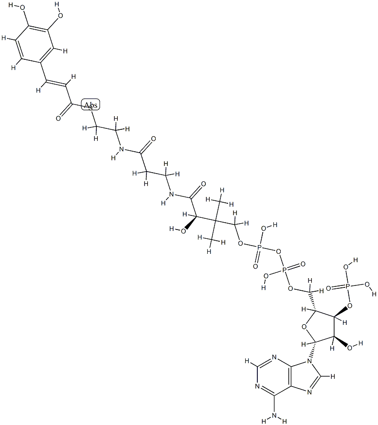 trans-caffeoyl-CoA Struktur