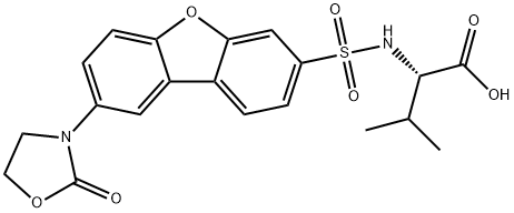 MMP145 Struktur