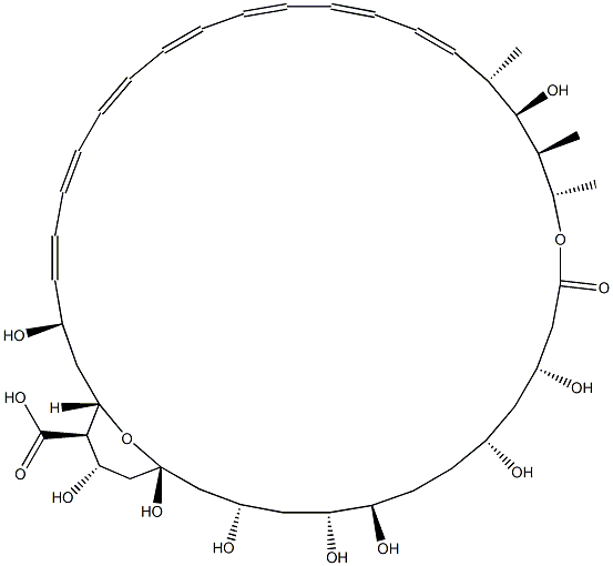 Amphoteronolide B Struktur