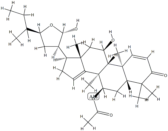 naheedin Struktur