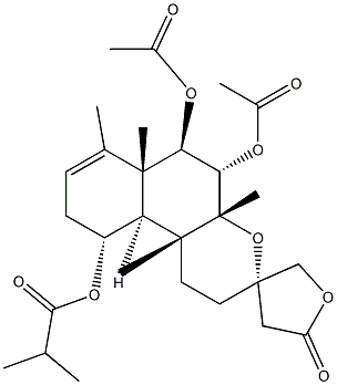 Scutebata E Struktur