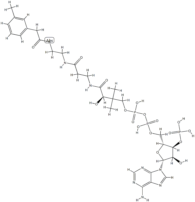 3-tolylacetyl-coenzyme A Struktur