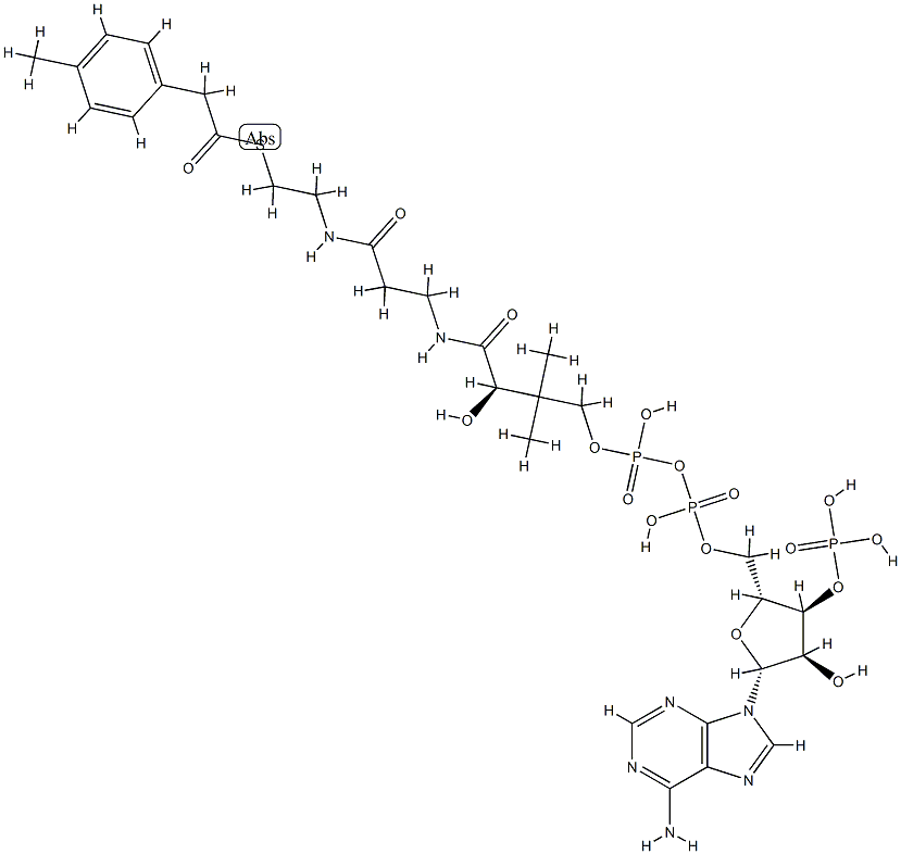 4-tolylacetyl-coenzyme A Struktur