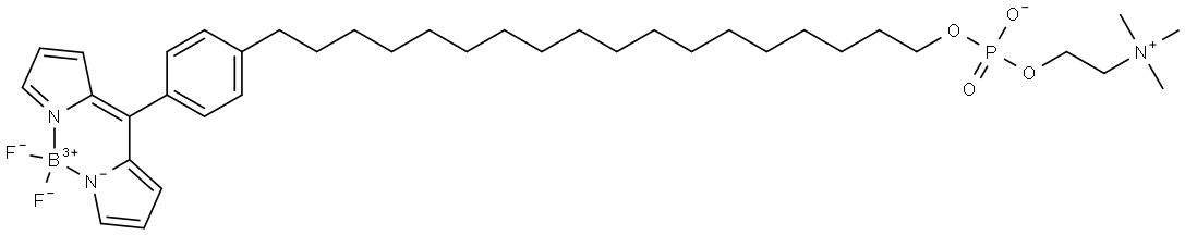 CLR1501 Struktur