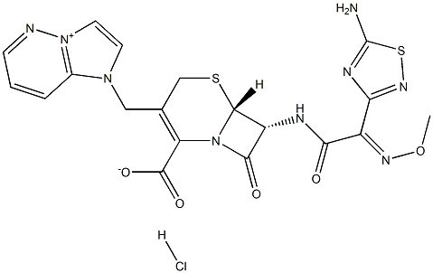 FIRSTCIN Struktur