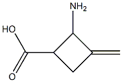 2-Amino-3-methylene-cyclobutanecarboxylic acid Struktur