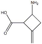 2-Amino-4-methylene-cyclobutanecarboxylic acid Struktur