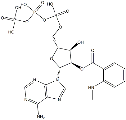 2'-O-(N-methylanthraniloyl)ATP Struktur