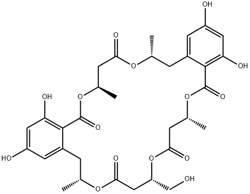 NG 012  Struktur