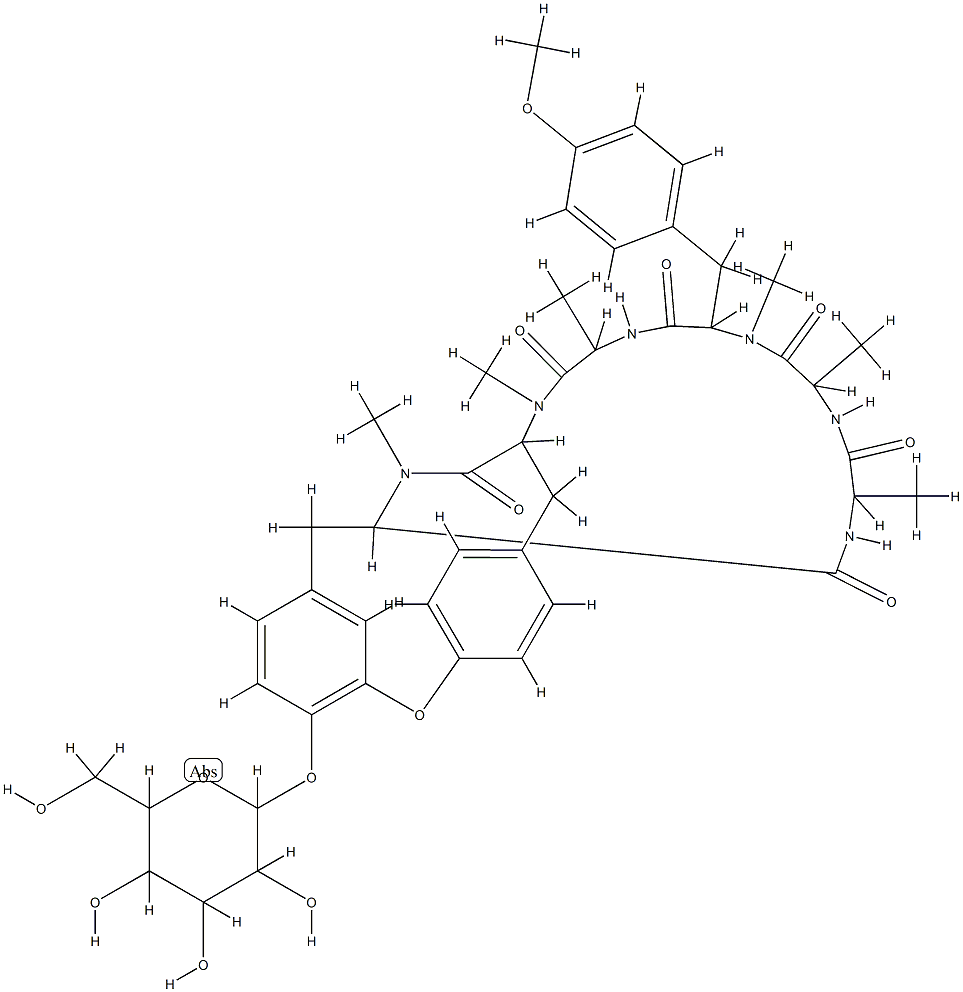 RA XII Struktur