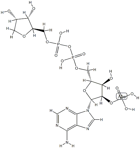 146318-03-8 結(jié)構(gòu)式