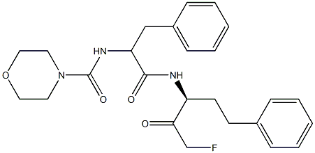 P 34081 Struktur