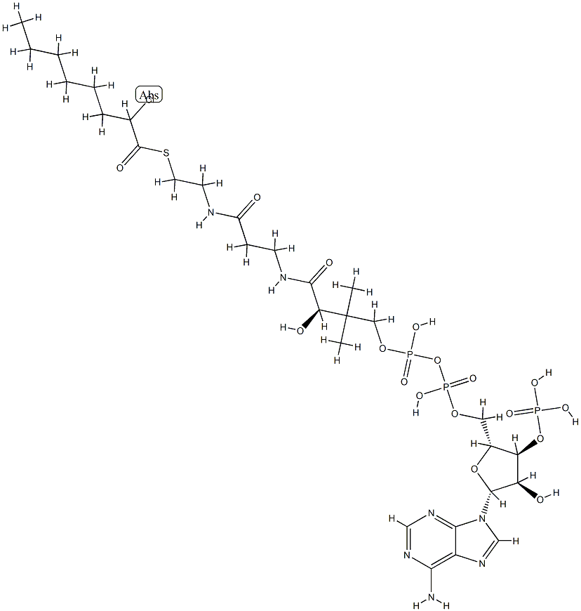 2-chlorooctanoyl-coenzyme A Struktur