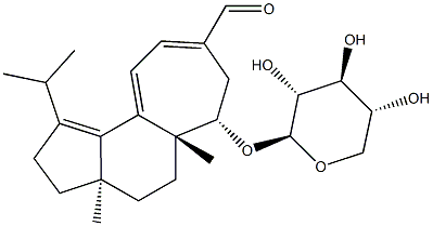  化學(xué)構(gòu)造式