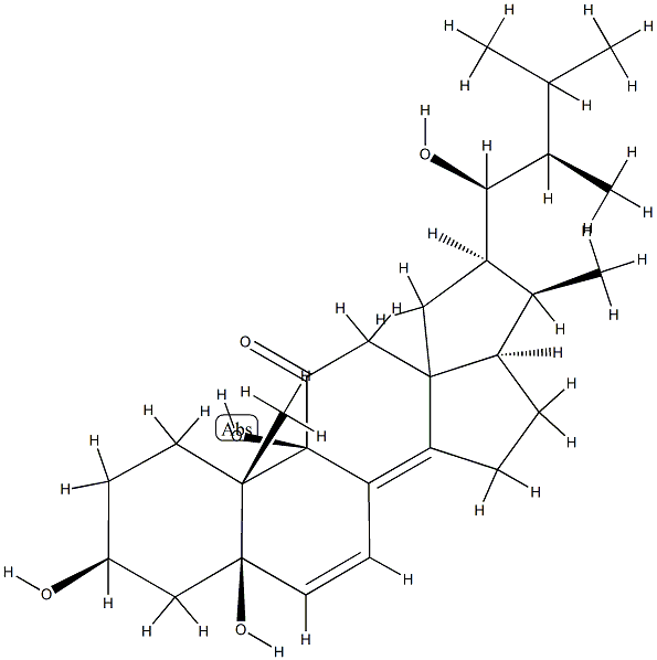 Mer NF8054X Struktur