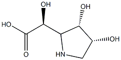 2-Pyrrolidineaceticacid,-alpha-,3,4-trihydroxy-,[2S-[2-alpha-(S*),3-alpha-,4-alpha-]]-(9CI) Struktur