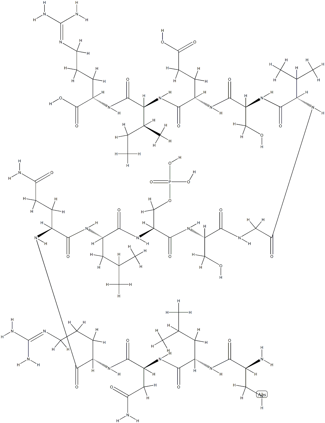 Heat Shock Protein (hsp) FragMent|熱激蛋白（hsp）片段（H-8400.0001）