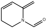 1(2H)-Pyridinecarboxaldehyde,5,6-dihydro-2-methylene-(9CI) Struktur