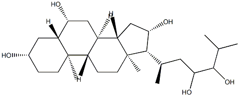 5α-Cholestane-3β,6β,16β,23,24-pentaol Struktur