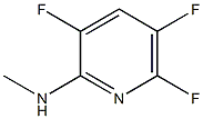 2-Pyridinamine,3,5,6-trifluoro-N-methyl-(9CI) Struktur