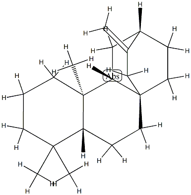 (5β,8α,9β,10α,12α)-Atis-16-ene Struktur