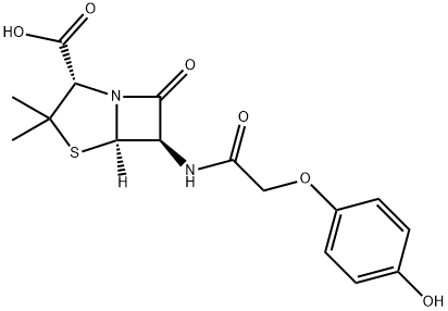 4-hydroxypenicillin V Struktur