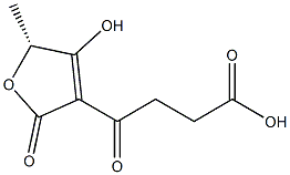 [R,(+)]-2,5-Dihydro-4-hydroxy-5-methyl-γ,2-dioxo-3-furanbutyric acid Struktur