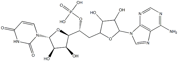 adenylyl-(3'-5')-uridine 5'-phosphate Struktur