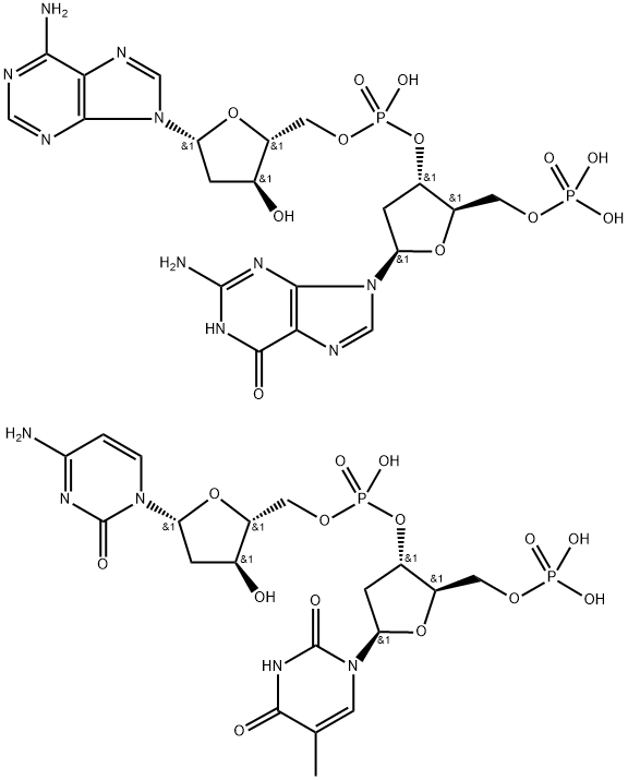 poly(dG-dA)n.poly(dC-dT)n Struktur