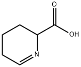 delta-1-piperidine-6-carboxylic acid Struktur