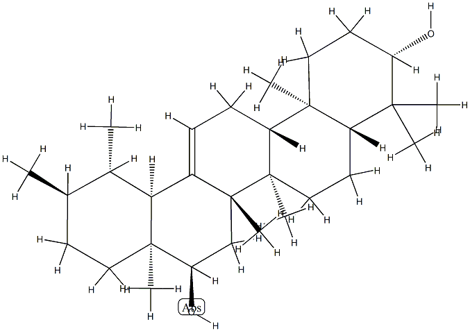 BREIN Struktur