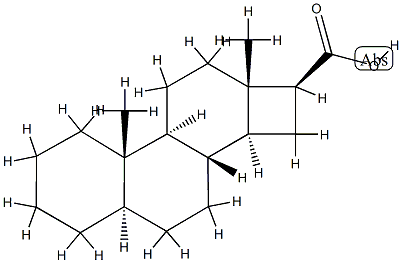 D-Nor-5α-androstane-16β-carboxylic acid Struktur