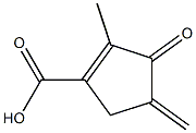 1-Cyclopentene-1-carboxylicacid,2-methyl-4-methylene-3-oxo-(9CI) Struktur