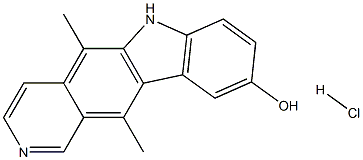 Nsc264136 Struktur