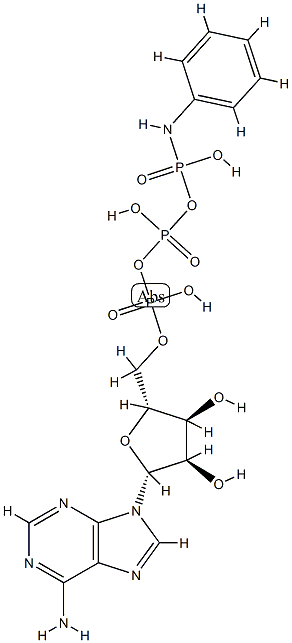 ATP gamma-anilide Struktur