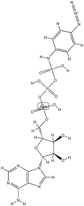 ATP gamma-p-azidoanilide Struktur