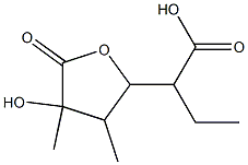 SYNEILESINOLIDEA Struktur