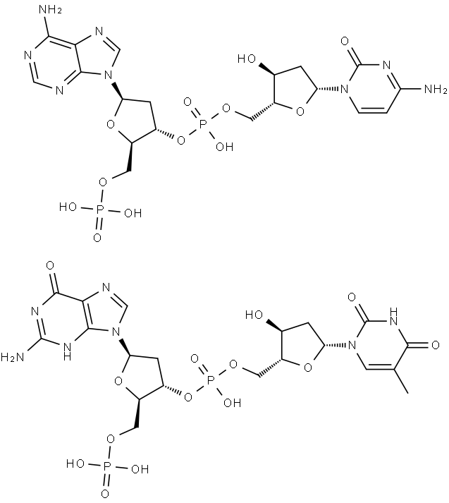 poly(dA-dC).poly(dG-dT) Struktur