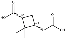 Cis-Pinic Acid Struktur