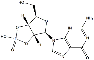 guanosine cyclic 2',3'-(hydrogen phosphate)  Struktur