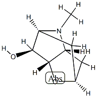 2,5-Methano-2H-furo[3,2-b]pyrrol-6-ol, hexahydro-4-methyl-, (2R,3aS,5R,6R,6aR)-rel-(-)- (9CI) Struktur