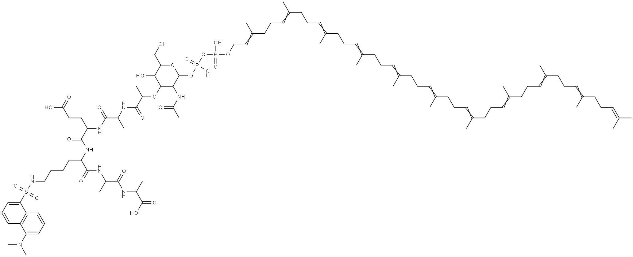 undecaprenyl diphosphate-N-acetylmuramoyl-(5- dimethylaminonaphthalene-1-sulfonyl)pentapeptide Struktur